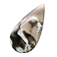 Ein polierter Zebraopal-Cabochon mit kontrastreichen schwarzen und weißen Opalschichten.