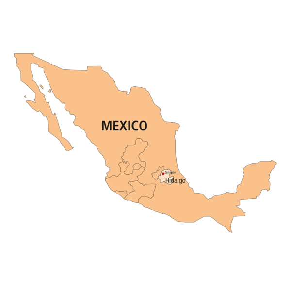 Eine Karte von Mexiko, die Sinaloa in der Provinz Hildalgo zeigt, das Gebiet, in dem Leopardenopal abgebaut wird.